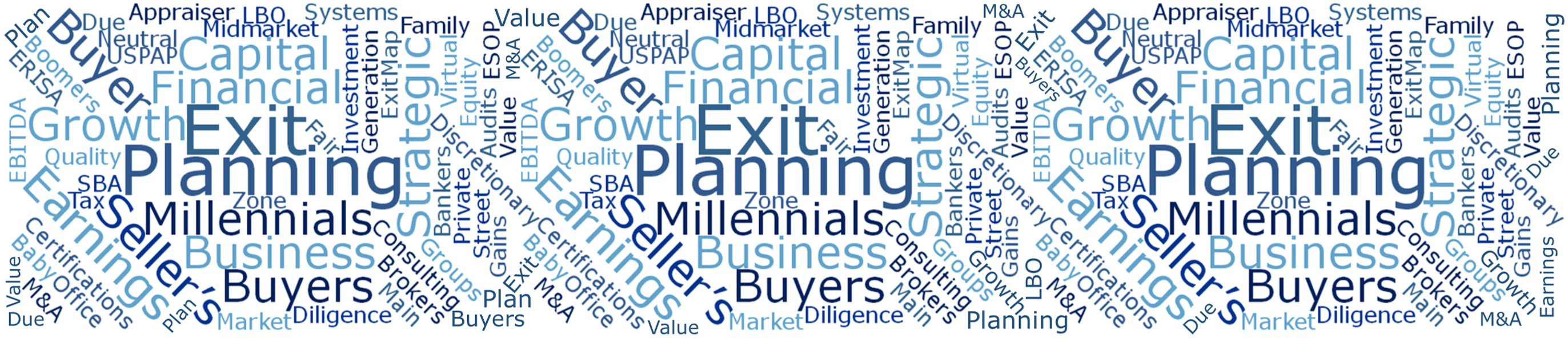 Exit Planning Terms Word Cloud